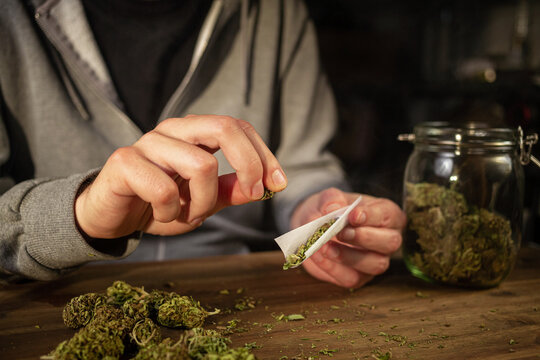 Man rolling marijuana cannabis joint in coffee shop Amsterdam with CBD weed buds in glass jars.