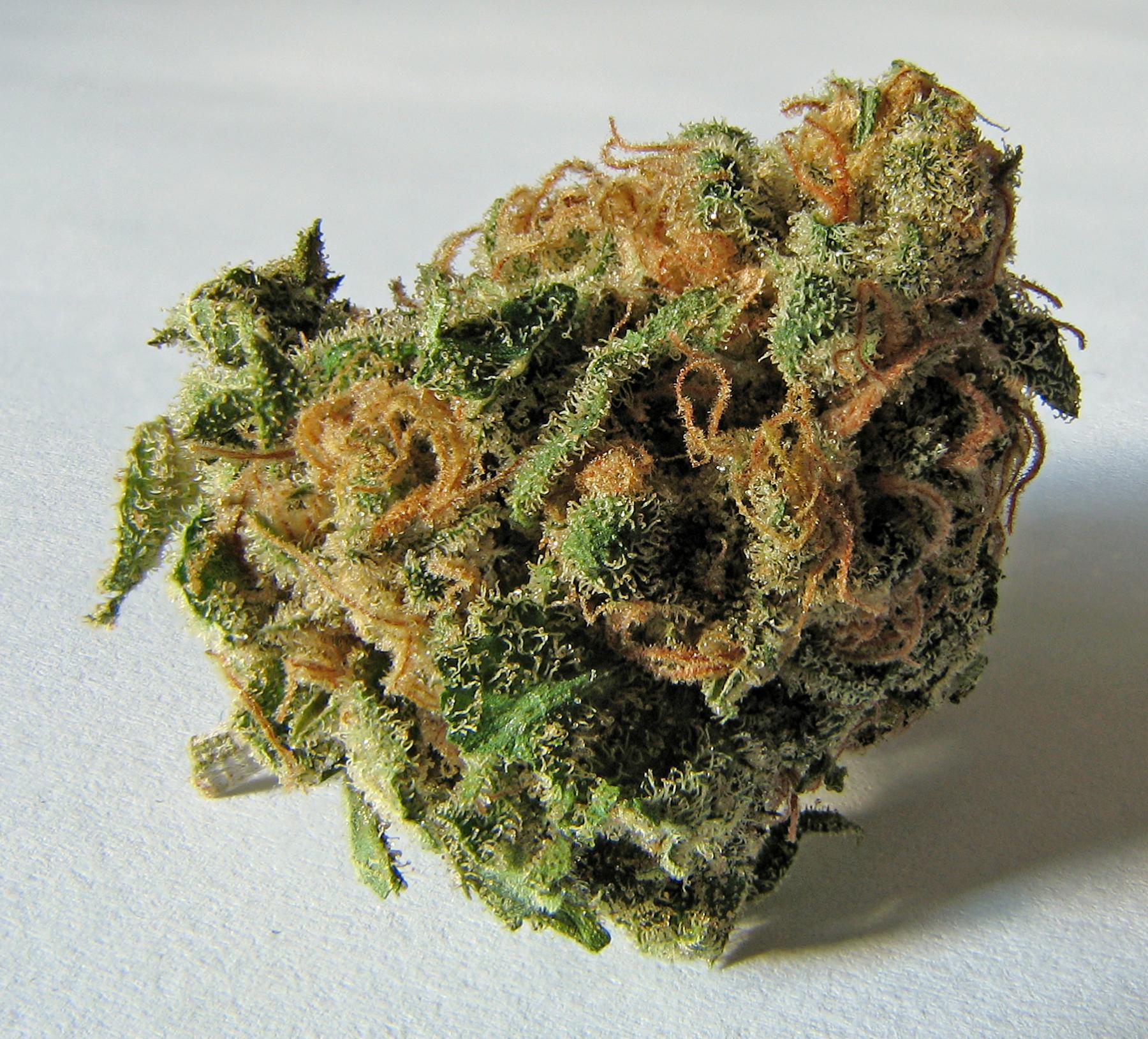 Image of cannabis strain, Cannabis - File:Macro cannabis bud.jpg