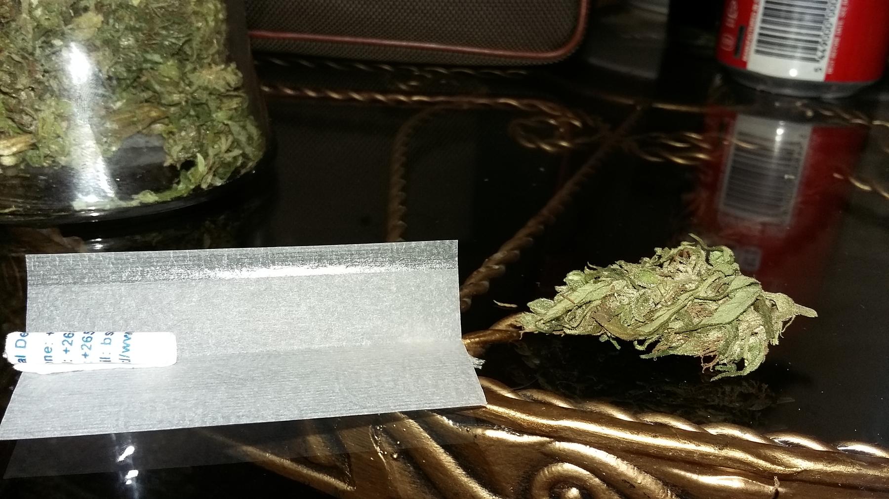 a small green leaf - File:A bud of malawi gold cannabis strain 20160813 125335.jpg