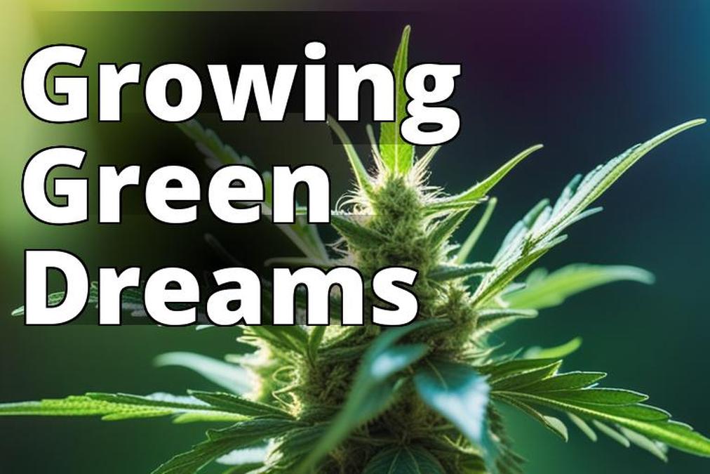 The featured image for this article could be a close-up of a healthy marijuana plant growing in a ga
