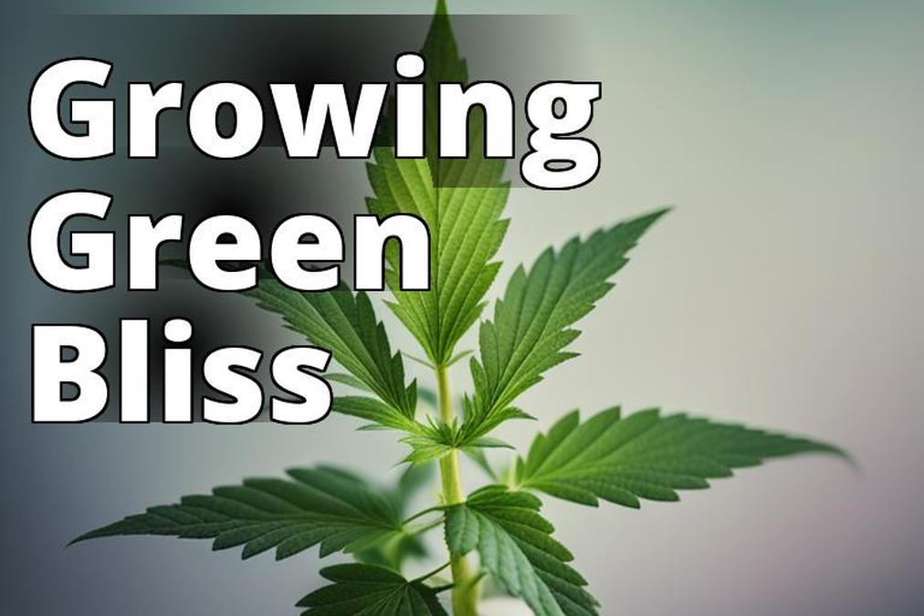 The featured image for this article could be a close-up of a healthy marijuana plant with lush green