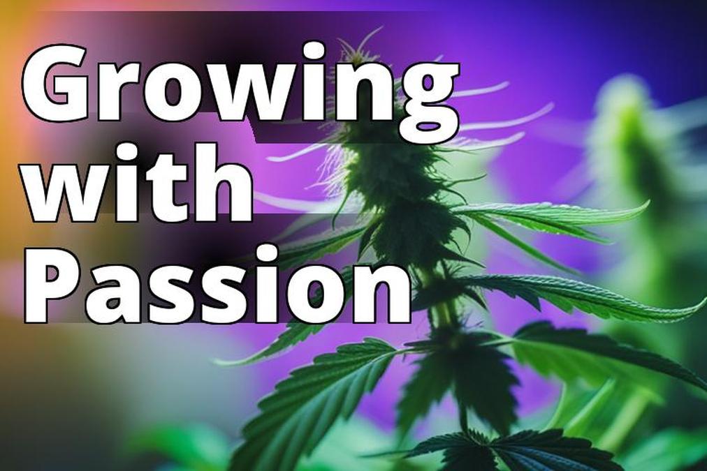 The featured image for this article could be a close-up shot of a healthy marijuana plant with vibra