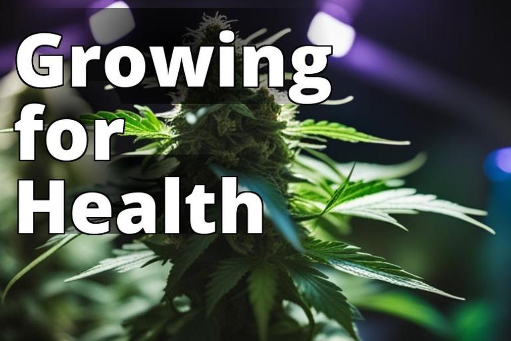The featured image for this article could be a high-quality photo of a healthy marijuana plant growi