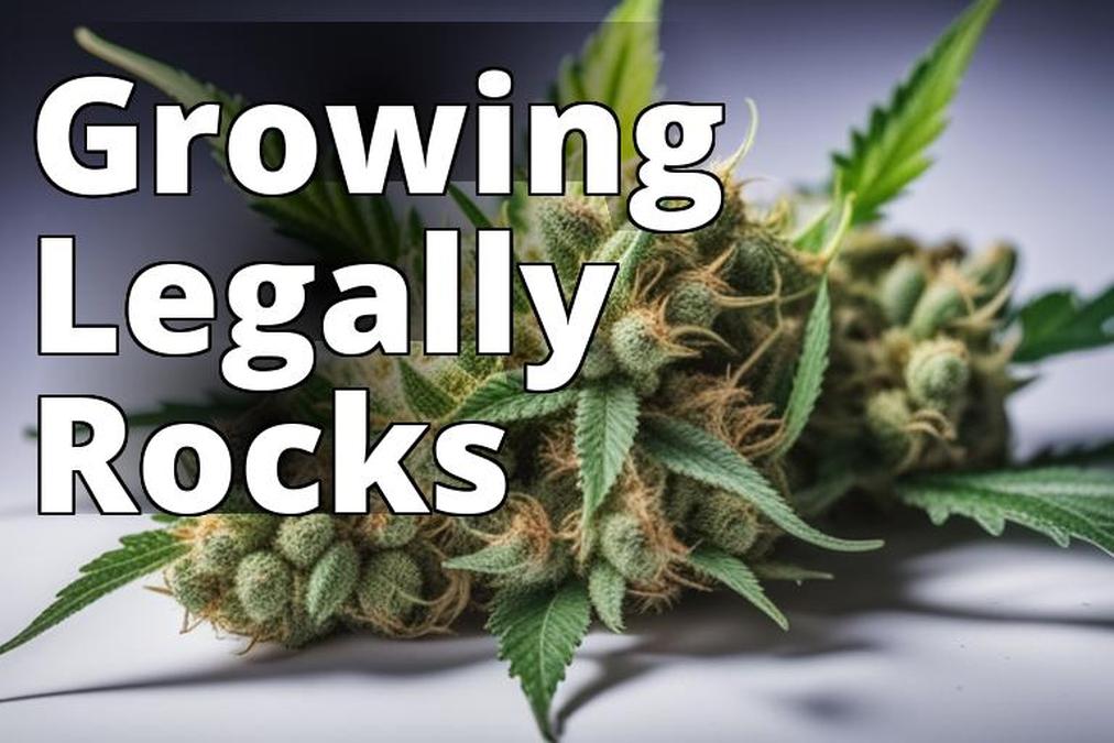 The featured image for this article could be a high-quality photo of a thriving marijuana plant