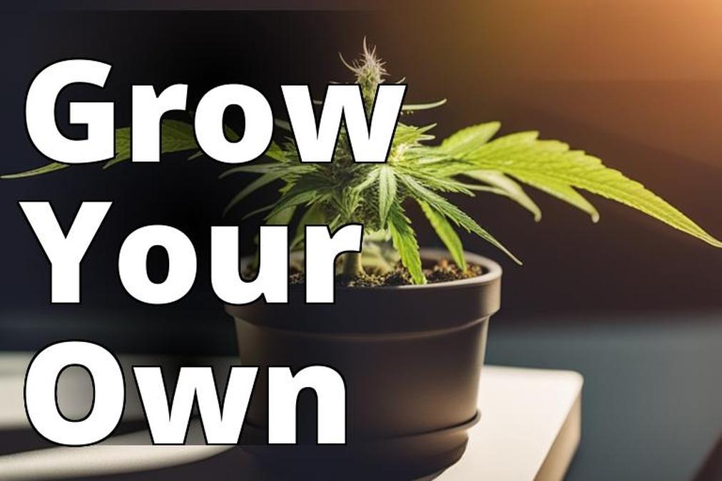 The featured image for this article could be a photo of a homegrown marijuana plant
