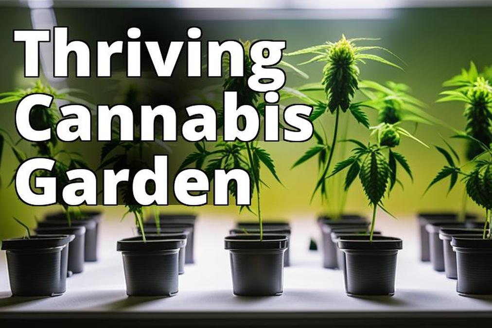 The featured image for this article could be a photo of healthy marijuana plants growing in a garden