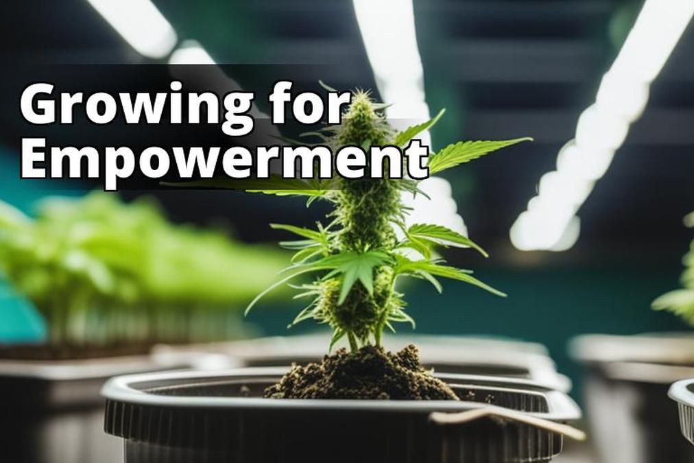 The featured image for this article could be a photograph of a healthy marijuana plant growing in a