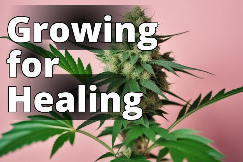 The featured image for this article could be a picture of a healthy marijuana plant with green leave