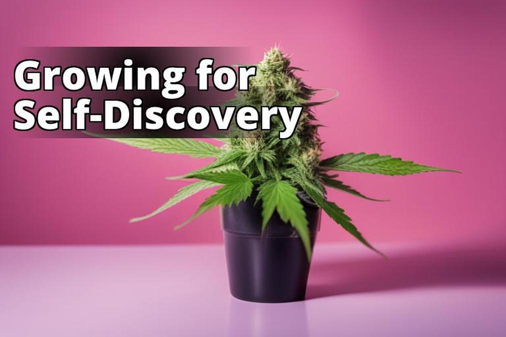 The featured image for this article should be a close-up shot of a healthy marijuana plant with vibr