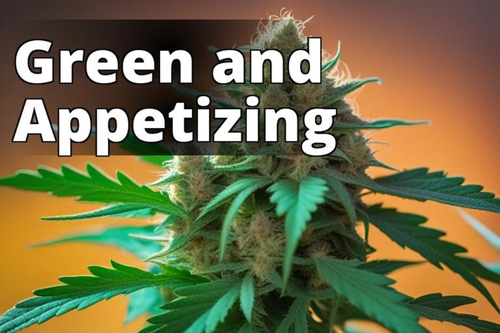 The featured image for this article should be a high-quality photo of a healthy marijuana plant with