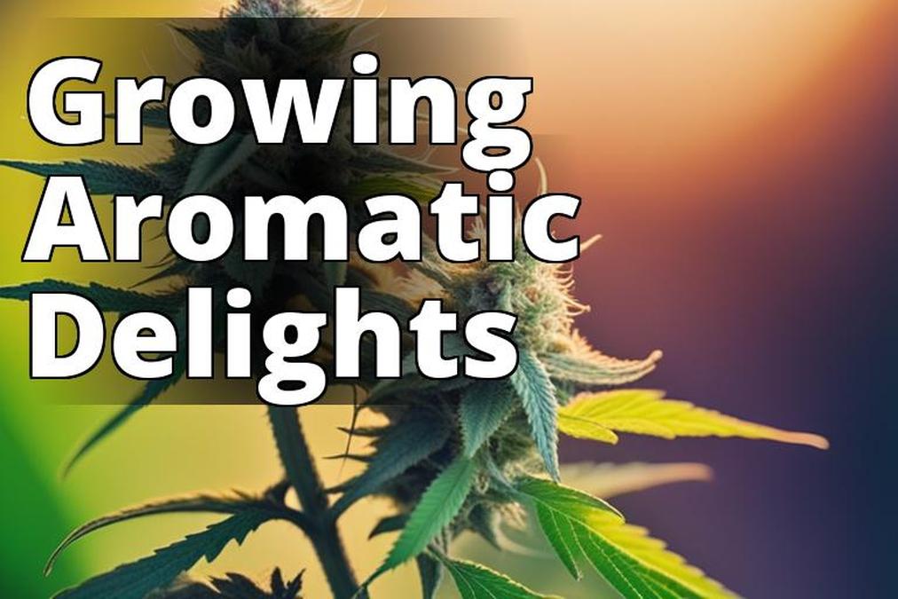 The featured image for this article should be a high-quality photograph of a mature marijuana plant