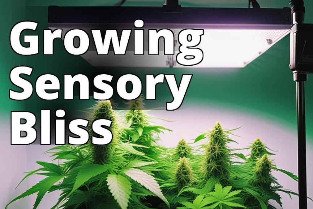 The featured image for this article should be a well-lit and organized indoor grow room or tent fill