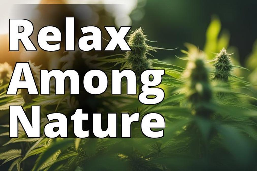 The featured image for this article should show a lush green outdoor garden with tall marijuana plan