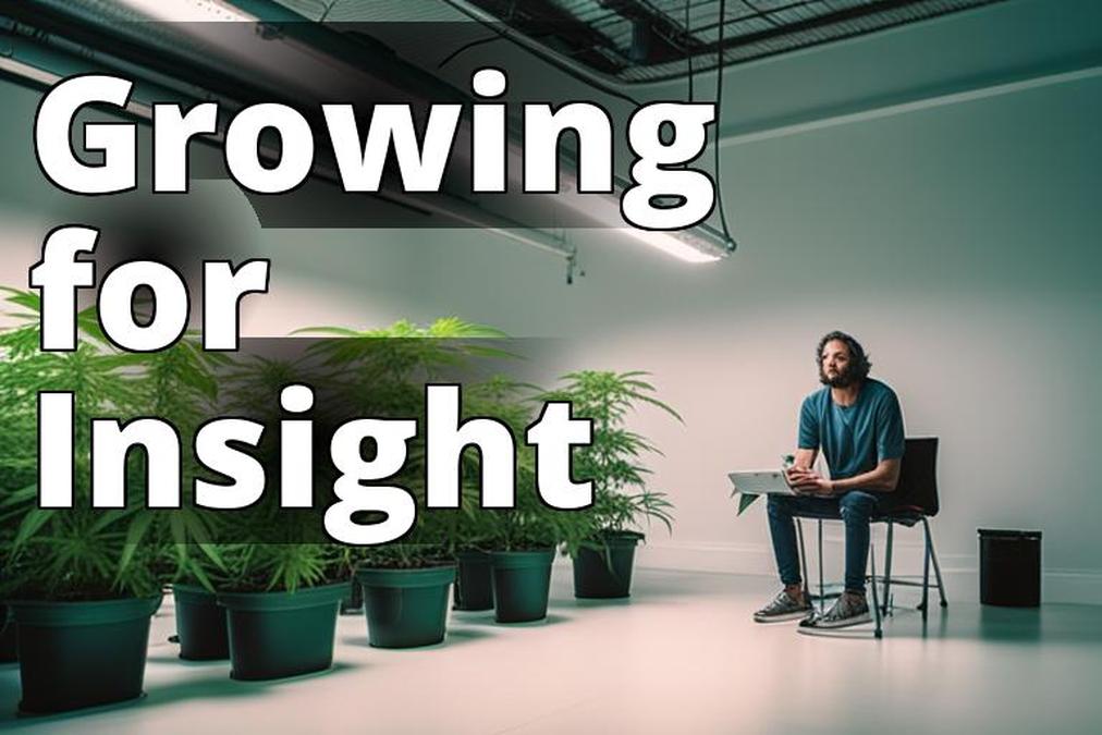 The featured image should be a high-quality photo of a healthy marijuana plant growing in a well-lit