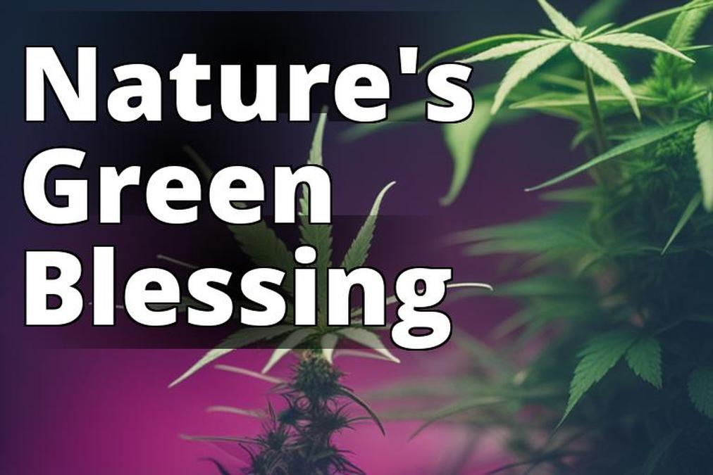 The featured image should be a picturesque shot of a marijuana plant in full bloom