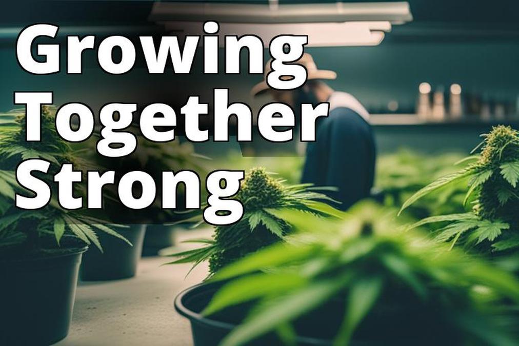 The featured image should contain a diverse group of people working together to grow marijuana plant