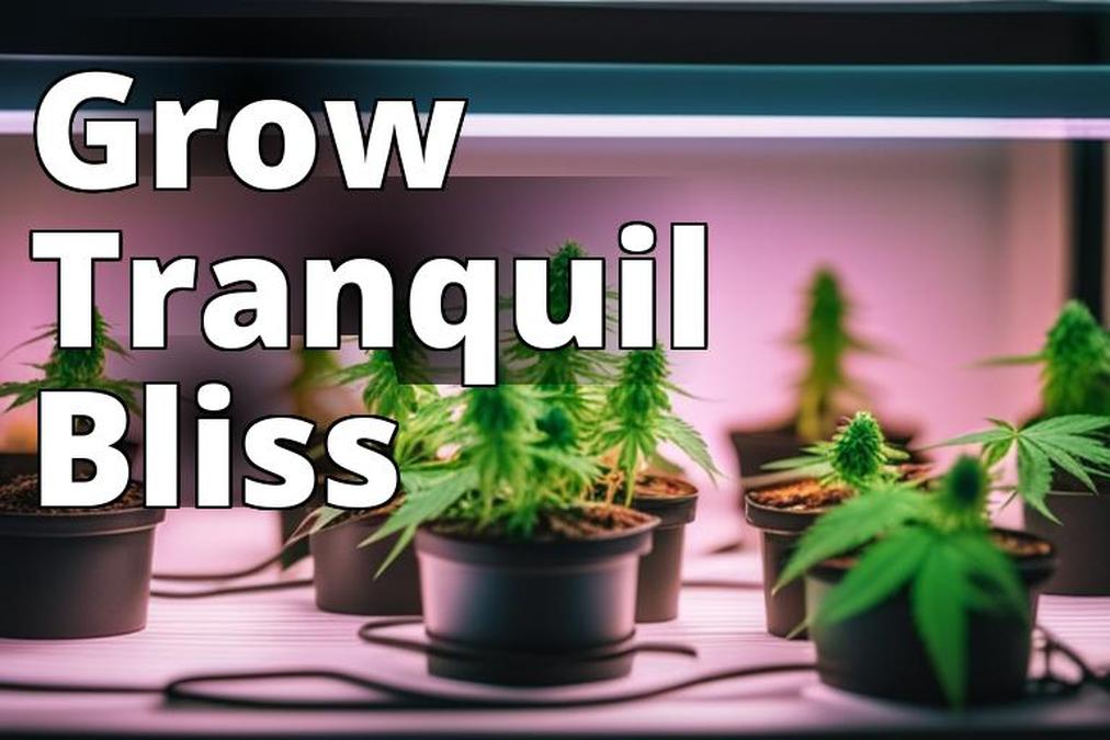 The featured image should show a healthy marijuana plant growing in a well-lit and ventilated space